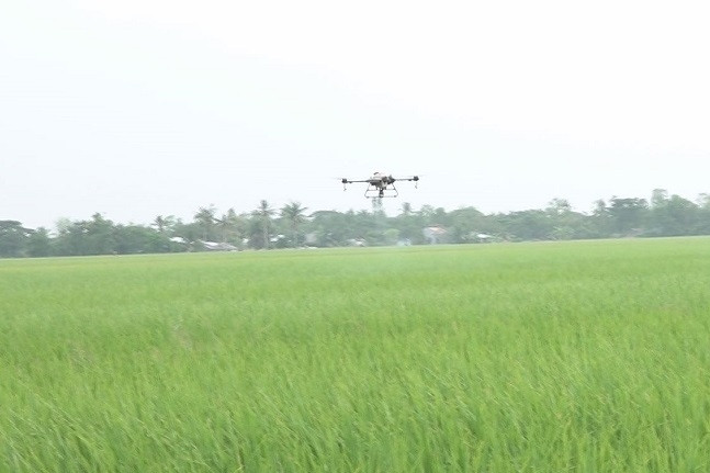 Sóc Trăng quan tâm công tác quản lý các cơ sở kinh doanh vật tư nông nghiệp