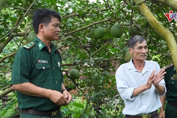 Chuyển đổi giống cây trồng mang hiệu quả kinh tế cho người dân vùng biên giới