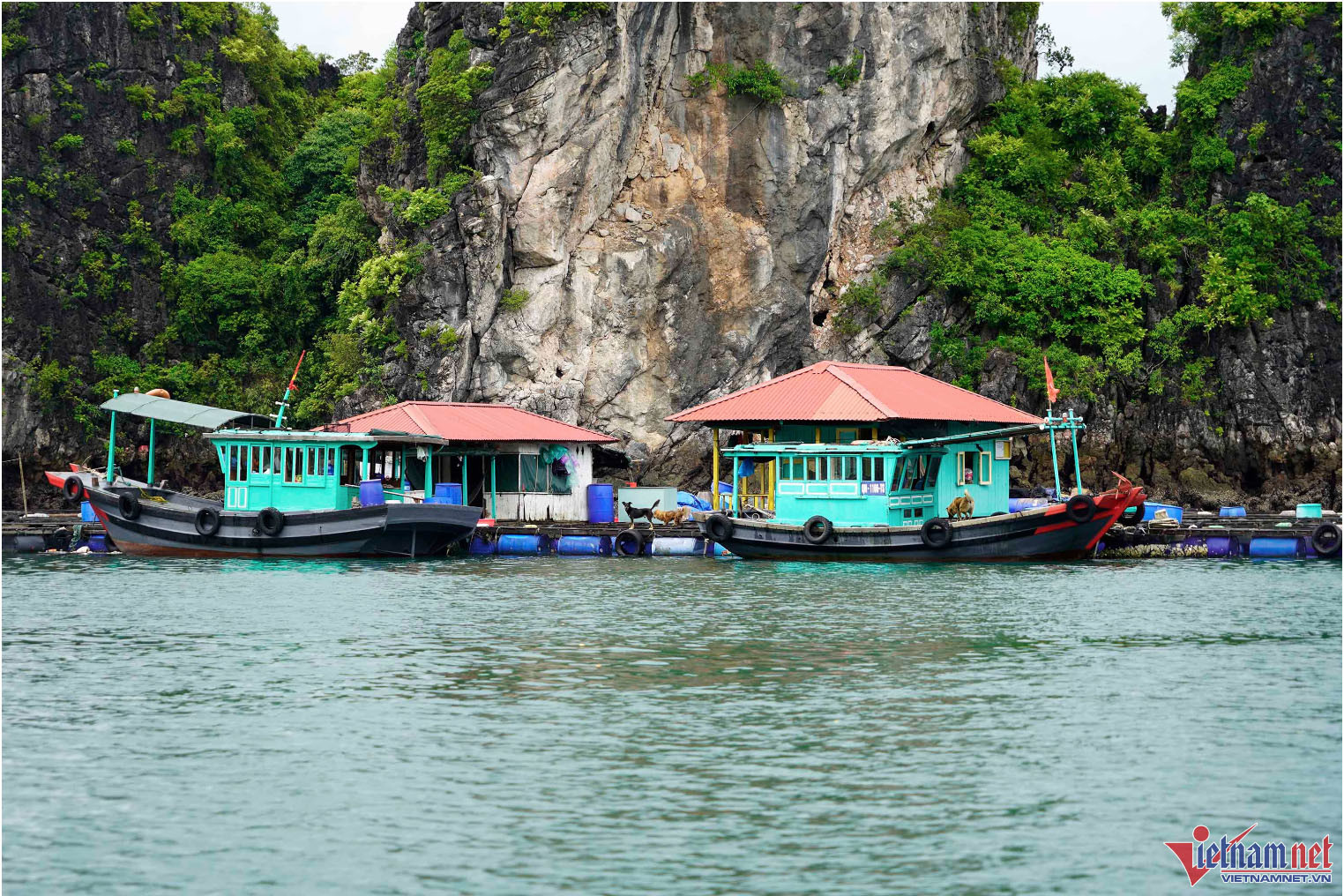 Tàu cá chìm trong cơn mưa lớn, hai mẹ con tử vong