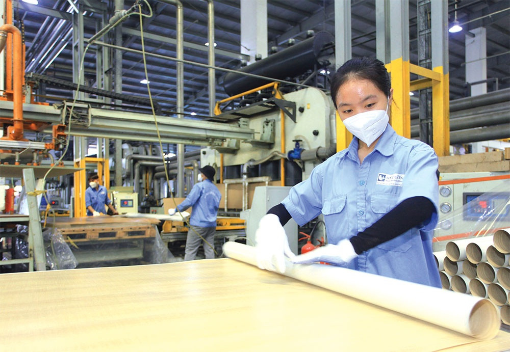 Expectations positive for growth trajectory