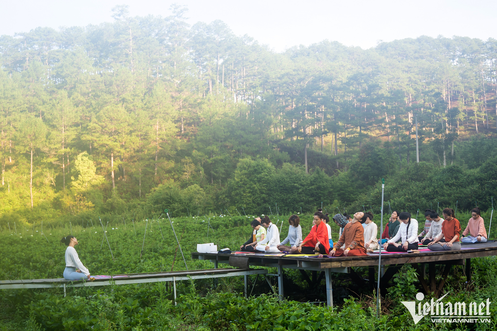 Trải nghiệm du lịch kết hợp thiền và yoga trên cao nguyên Lâm Đồng