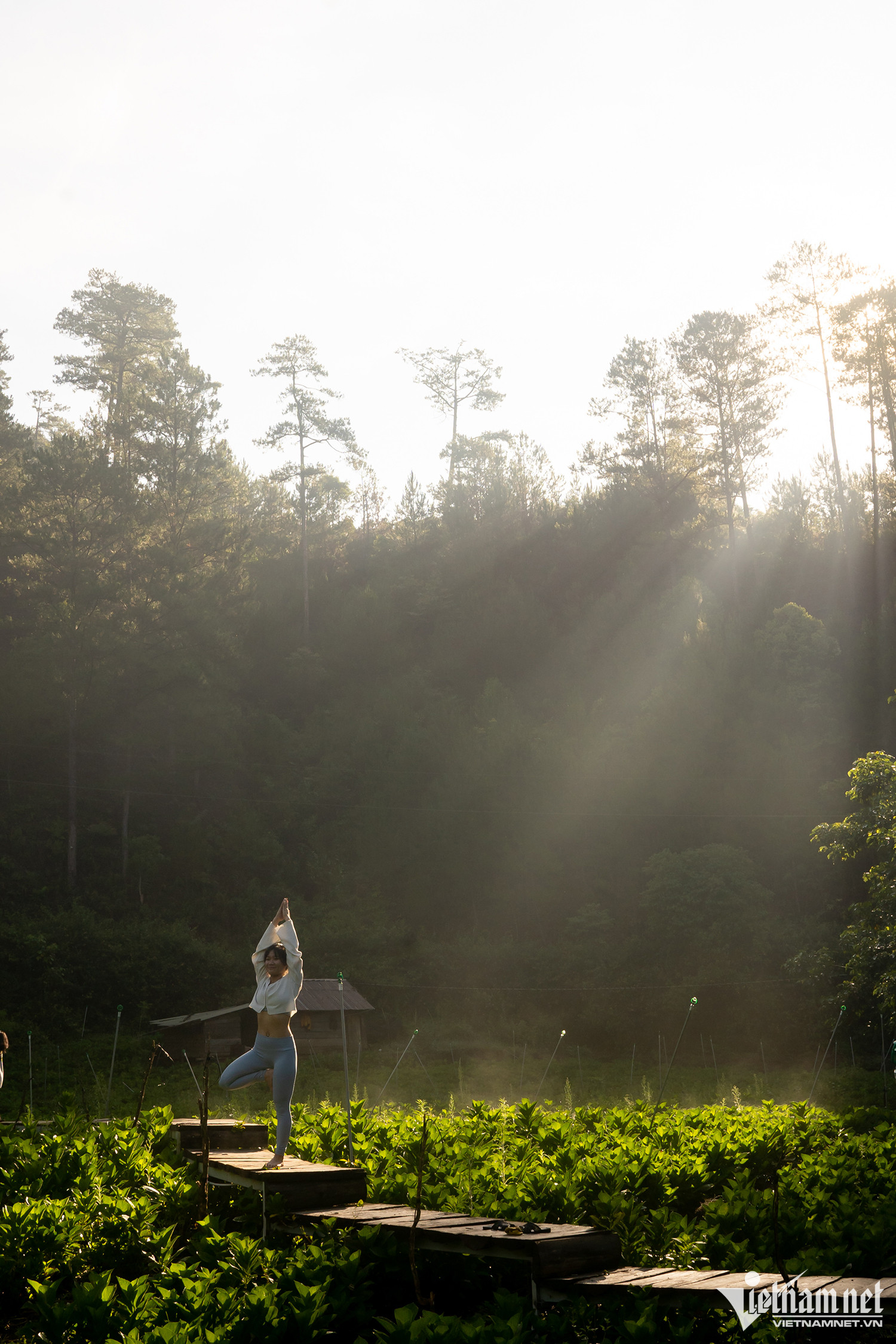 Trải nghiệm du lịch kết hợp thiền và yoga trên cao nguyên Lâm Đồng