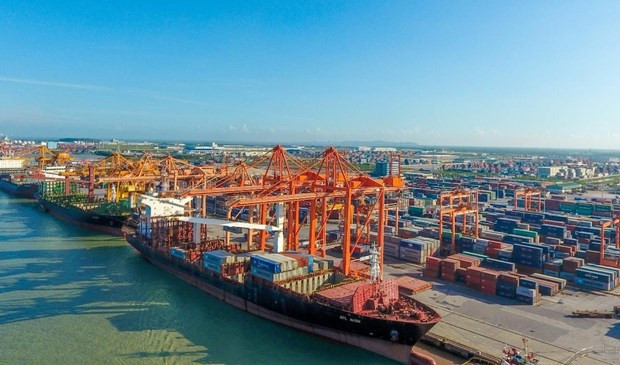 Vietnam looks to upgrade int'l merchant fleet hinh anh 1