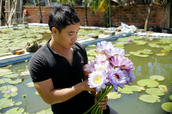 Chi 30 triệu khởi nghiệp trồng hoa súng, 9X Quảng Nam thu lãi cao
