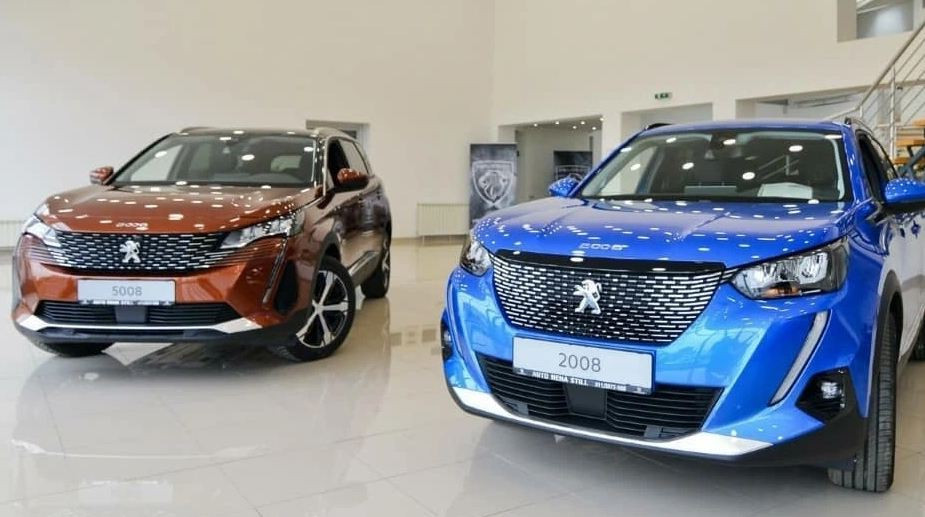 VN automobile market recovers well