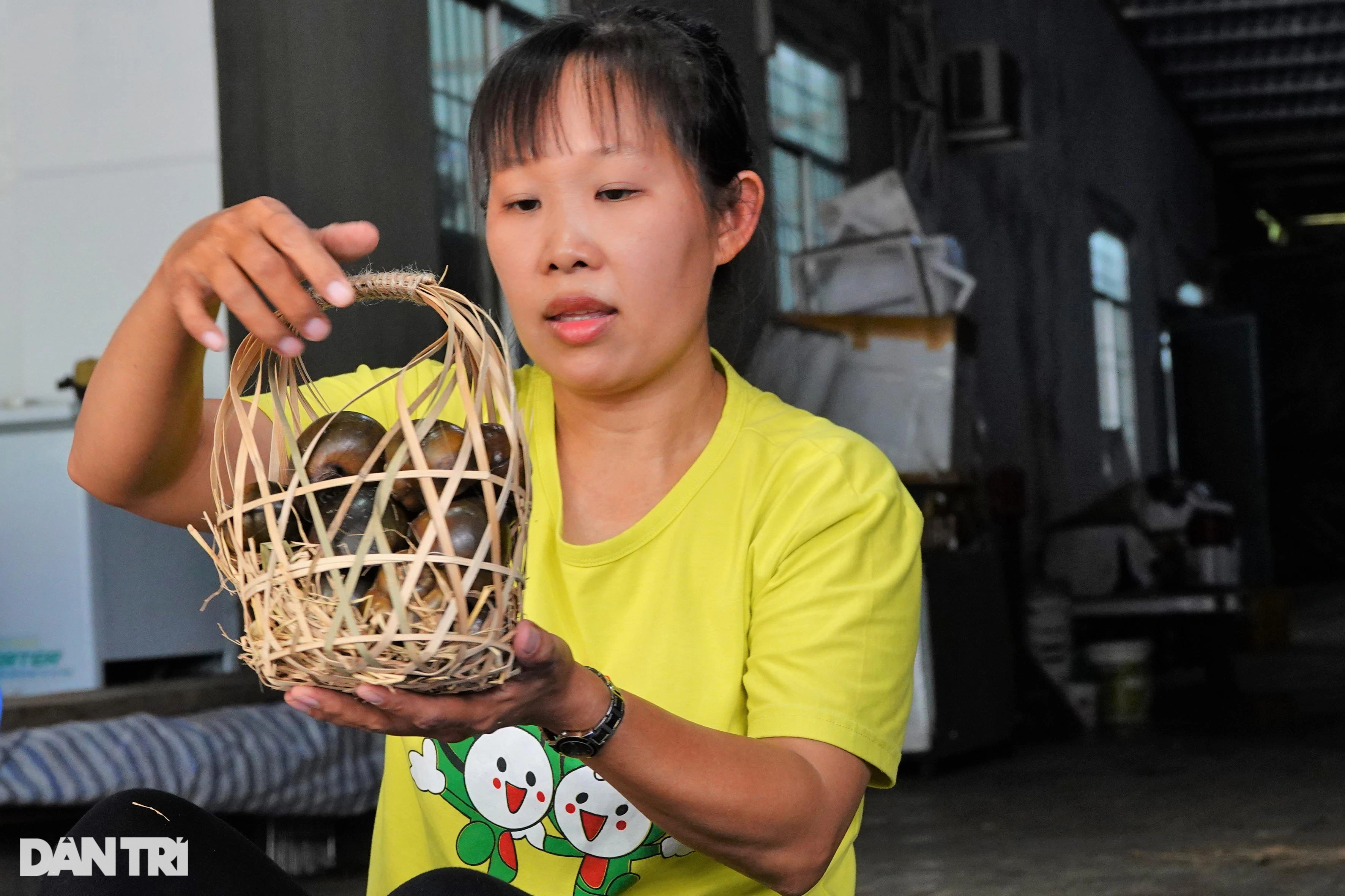 Bí quyết cho ốc ngủ gác bếp liền 3 tháng, thu lãi hàng trăm triệu đồng - 12