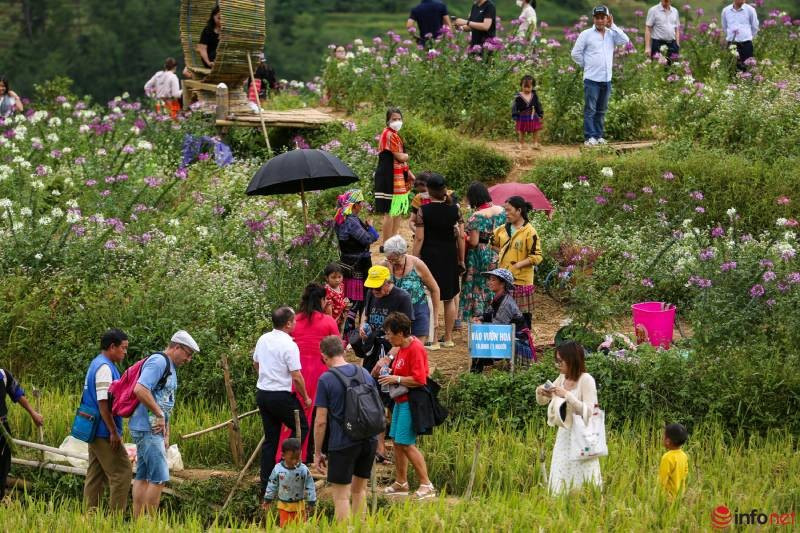 Nội dung chú thích ảnh