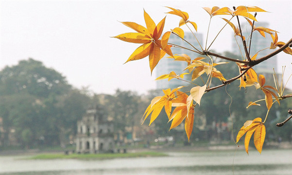 Tourists fall for autumn in Hanoi