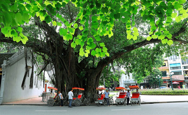 Tourists fall for autumn in Hanoi