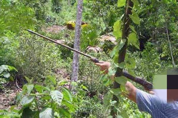 Săn gà rừng, bắn nhầm 1 người tử vong