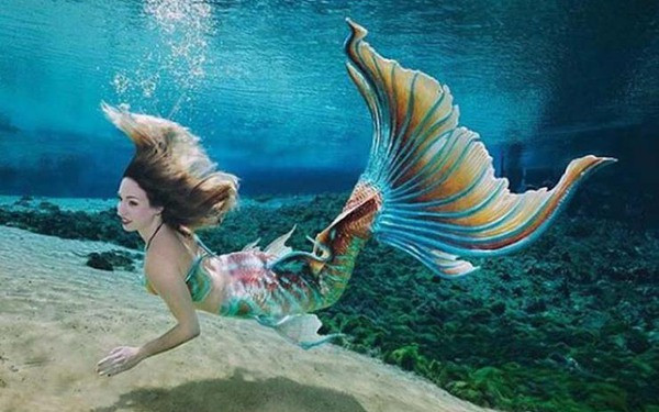 Nghề làm nàng tiên cá: Lương cao nhưng không được phép căng thẳng