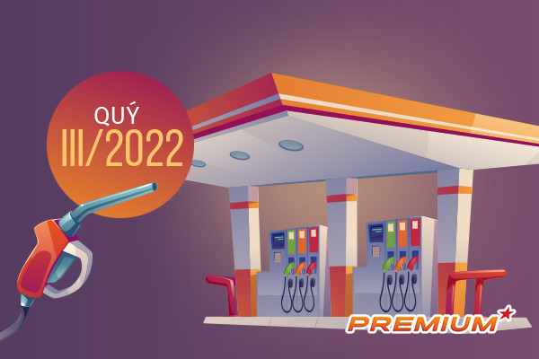 Chỉ có 19/33 thương nhân đầu mối nhập xăng dầu trong quý III/2022