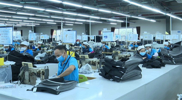 Governance management of Vietnamese enterprises is still low: experts