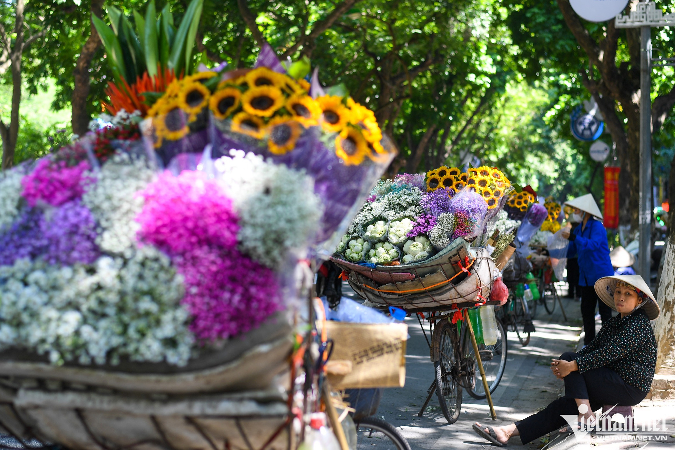 Mùa thu Hà Nội đẹp mê mẩn với dàn xe chở hoa rực sắc màu