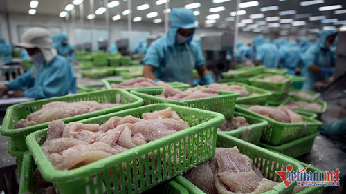 Lào bất ngờ ‘ăn hàng’, xuất khẩu cá tra tăng 2.214%