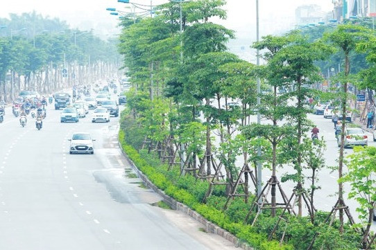 Bộ Công an yêu cầu định giá cây xanh trồng ở Hà Nội giai đoạn 2016-2018