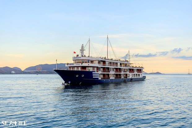 Overnight cruise ship service piloted in Nha Trang Bay hinh anh 1