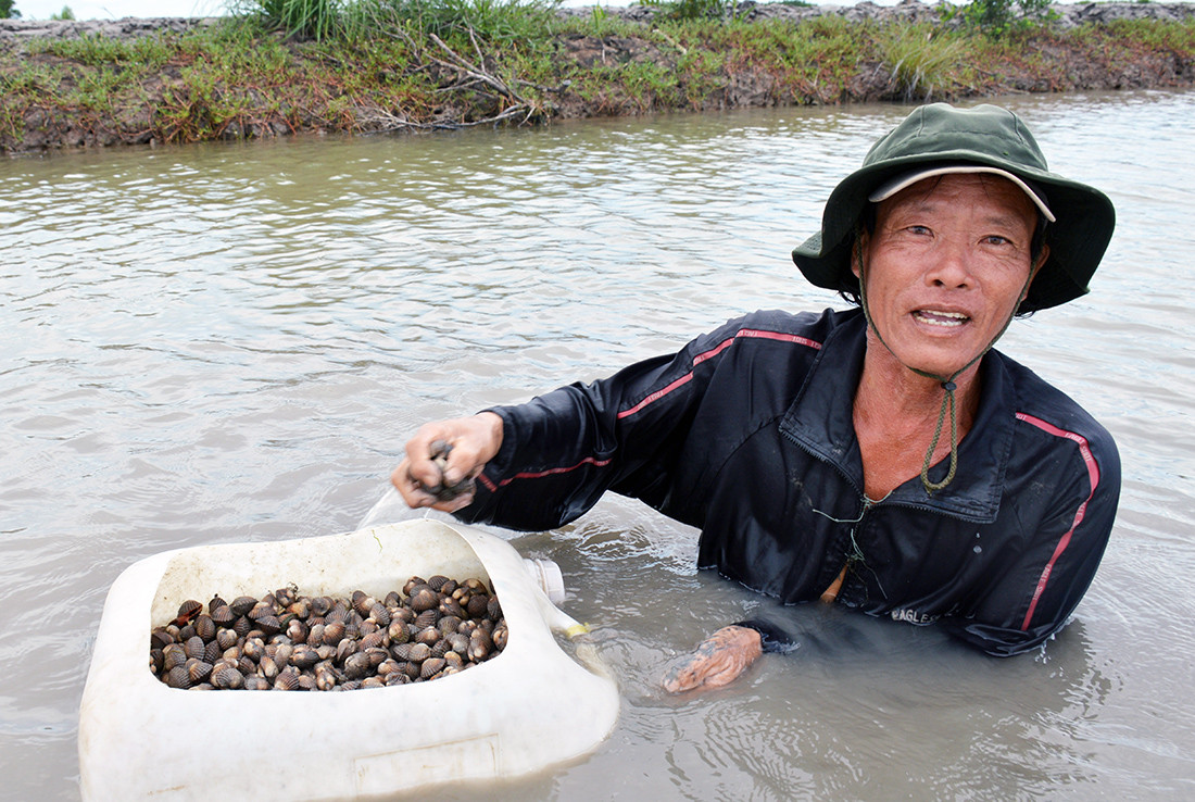 'Báu vật' dưới ao giúp tỷ phú miền Tây thu lãi khủng