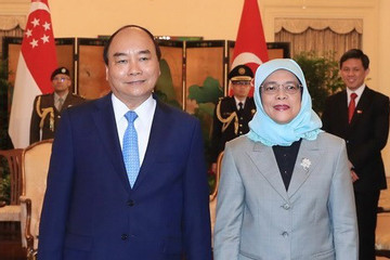 Tổng thống Singapore và phu quân sắp thăm Việt Nam