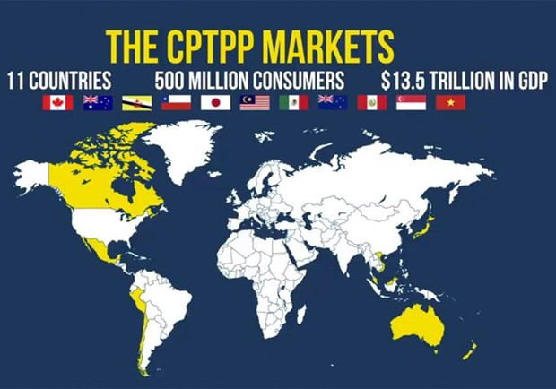 Vietnam’s exports to CPTPP countries up 38.7% in January- August period hinh anh 1