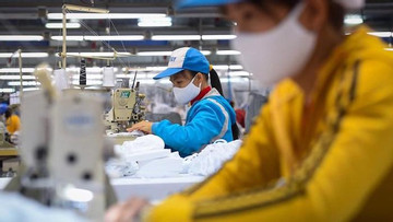Vietnam needs powerful corporations: economist