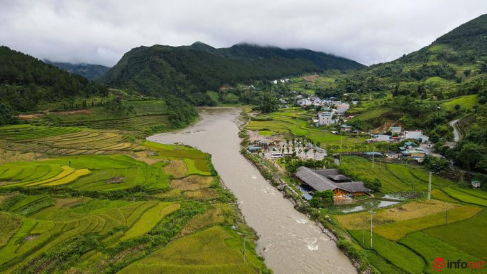 YÃªn BÃ¡i: NgÆ°á»i dÃ¢n TÃº Lá» táº¥t báº­t lÃ m cá»m xanh - Äáº·c sáº£n vÃ¹ng TÃ¢y Báº¯c - HÃ¬nh 19