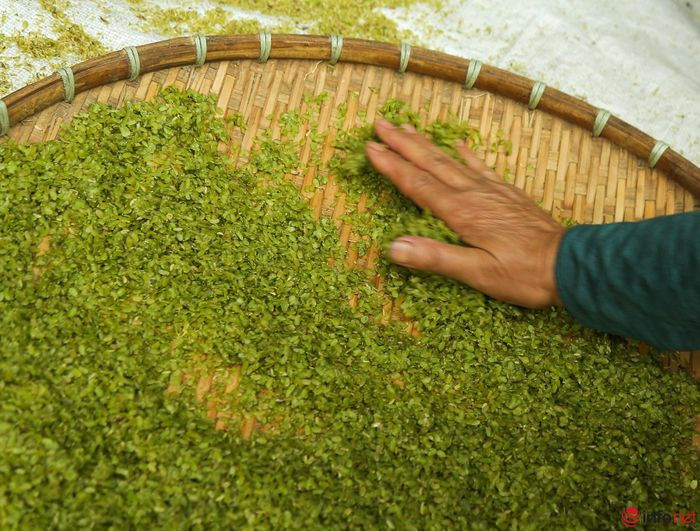 Yên Bái: Ngưá»i dân Tú Lá» tất báºt là m cá»m xanh - Äặc sản vùng Tây Bắc - Hình 13