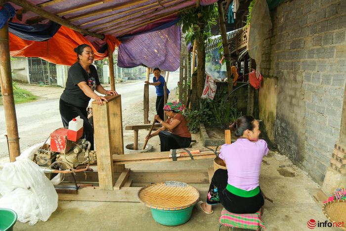 YÃªn BÃ¡i: NgÆ°á»i dÃ¢n TÃº Lá» táº¥t báº­t lÃ m cá»m xanh - Äáº·c sáº£n vÃ¹ng TÃ¢y Báº¯c - HÃ¬nh 6