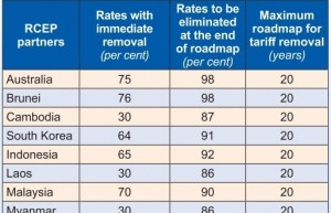 Decades of benefits becoming clear through expansive RCEP