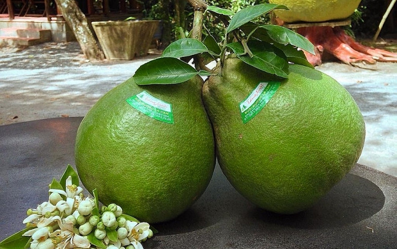 U.S. officially imports fresh pummelo fruit from Viet Nam - Ảnh 1.