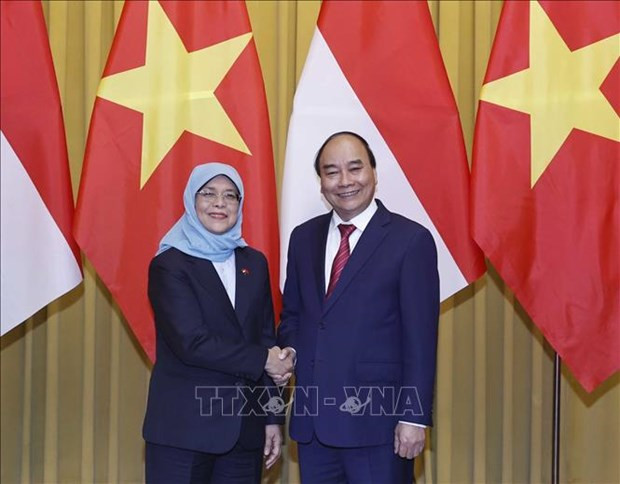 Vietnamese President holds talks with Singaporean counterpart hinh anh 2
