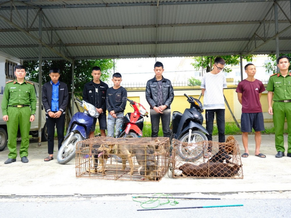 Bắt giữ 9 thanh niên trộm chó liên huyện