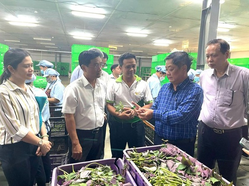 VN to add sanctions, standards to ensure food quality, safety ảnh 1