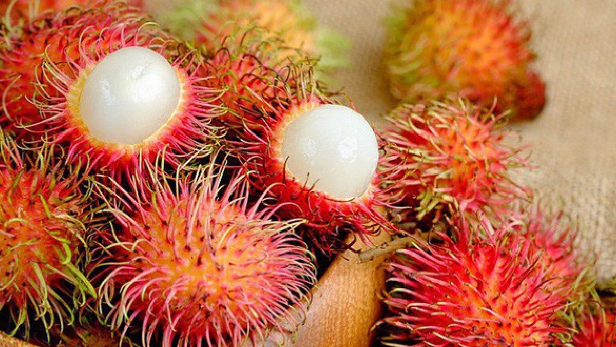 what are seven vietnamese fruits officially licensed for export to us picture 6