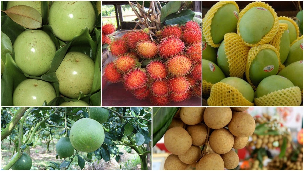 what are seven vietnamese fruits officially licensed for export to us picture 3