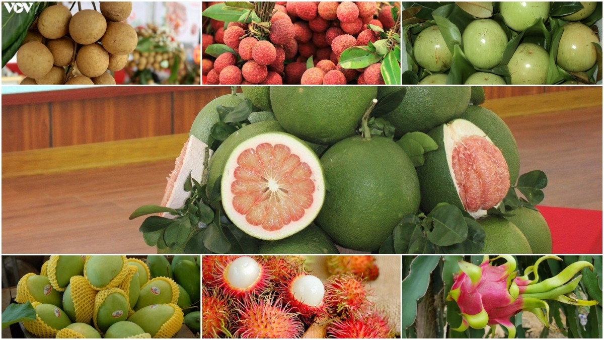 what are seven vietnamese fruits officially licensed for export to us picture 4