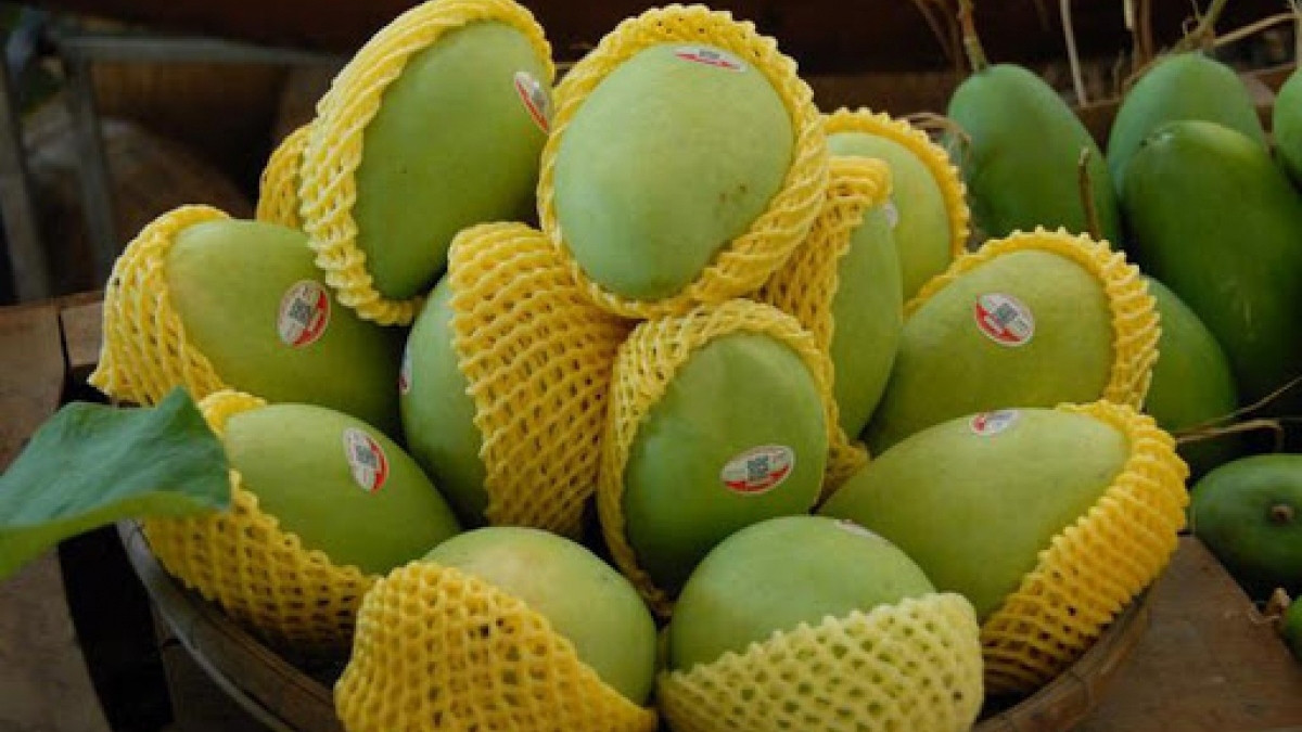 what are seven vietnamese fruits officially licensed for export to us picture 9
