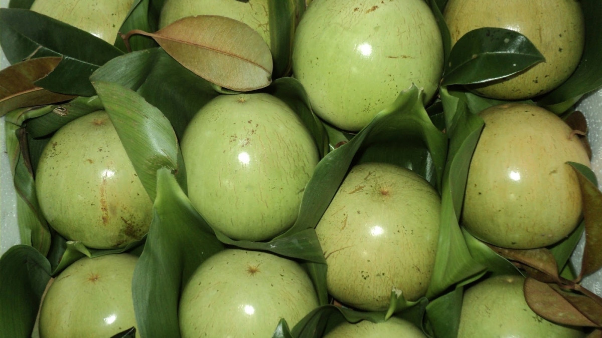 what are seven vietnamese fruits officially licensed for export to us picture 8