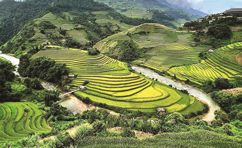Explore the stunning scenery of at Mu Cang Chai's terraced fields