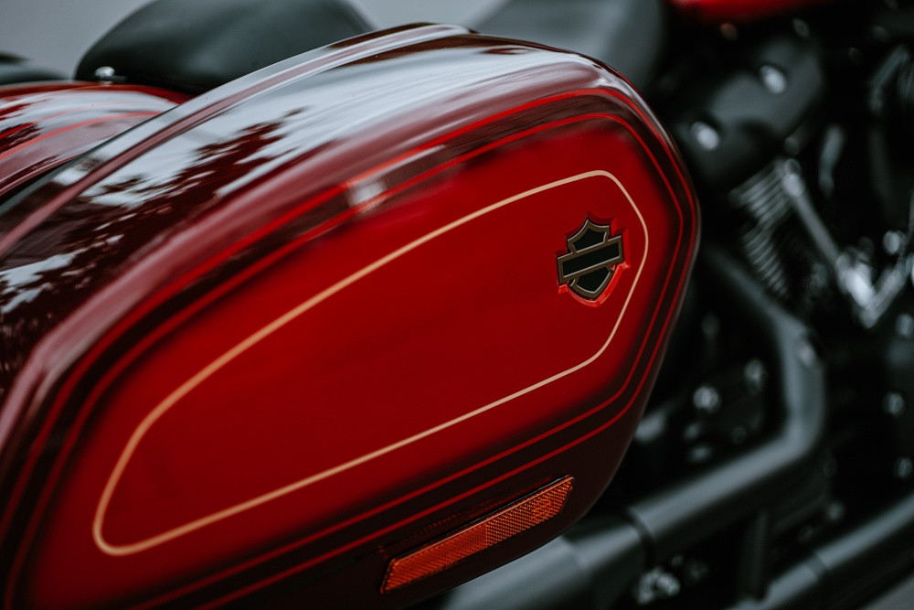 Harley-Davidson Low Rider El Diablo anh 4