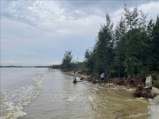 Sea intrusion leads to landslides in central Vietnam