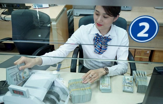 Central bank raises selling price of USD to 24,870 VND hinh anh 1