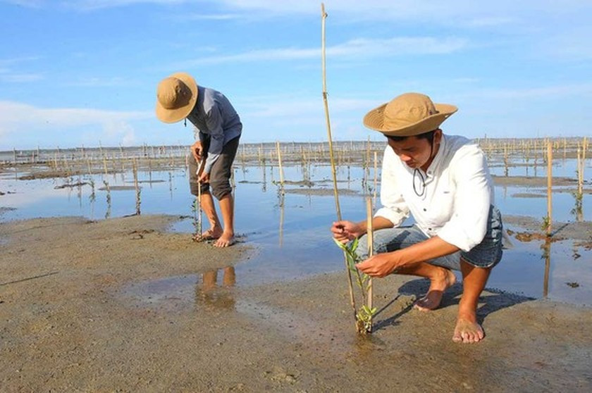 Extraordinary beauty of Ru Cha ảnh 7