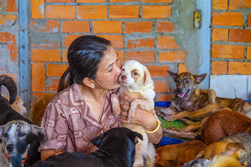 Người phụ nữ cứu gần 200 chó mèo bị bỏ rơi: Nhìn chúng tội lắm!