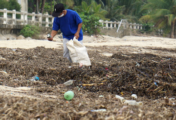 Cảnh không ngờ ở bãi biển Đà Nẵng, rác chất đống dài tít tắp