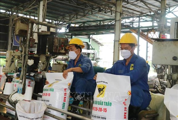 Fertiliser exports set new record hinh anh 1