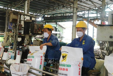 Vietnam's fertiliser exports set new record