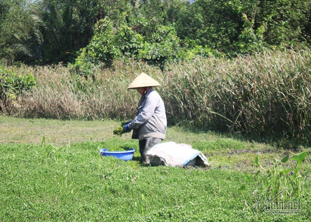 Mẹ đẻ, con gái mâu thuẫn vì chuyện trông cháu