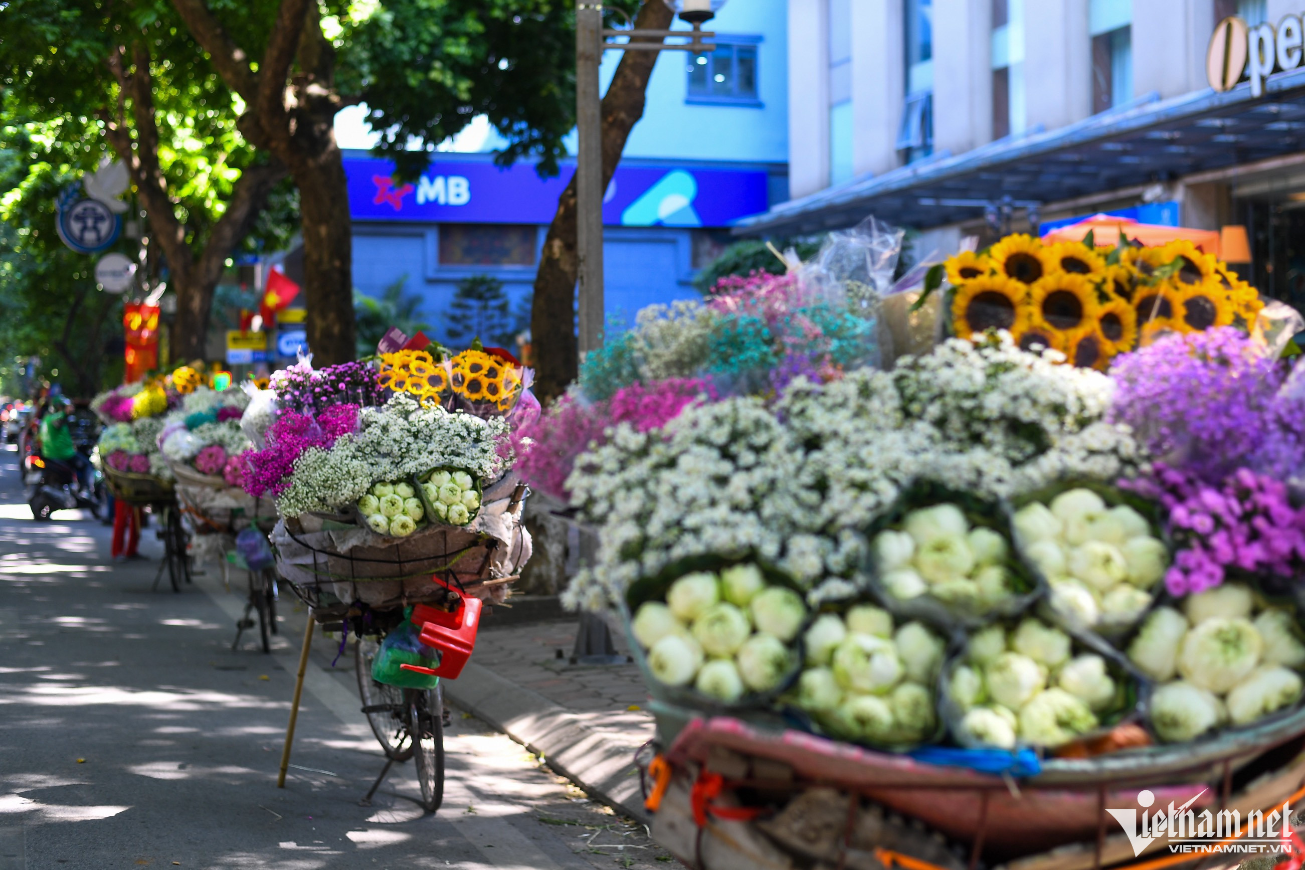 Autumn: vendors’ 'flower bikes' park on Hanoi streets