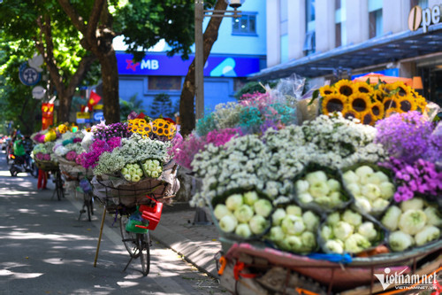 Autumn: vendors’ 'flower bikes' park on Hanoi streets
